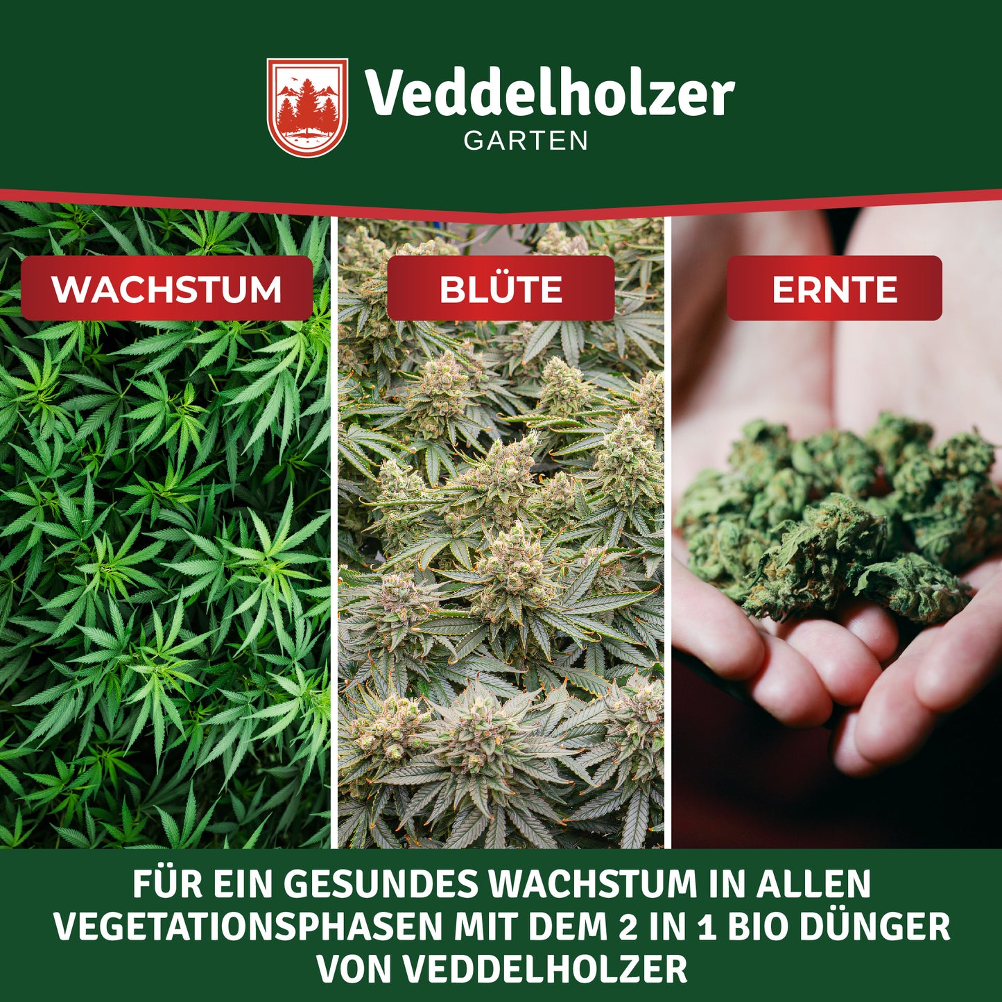 Veddelholzer Premium 500 ml Engrais de cannabis bio All in One