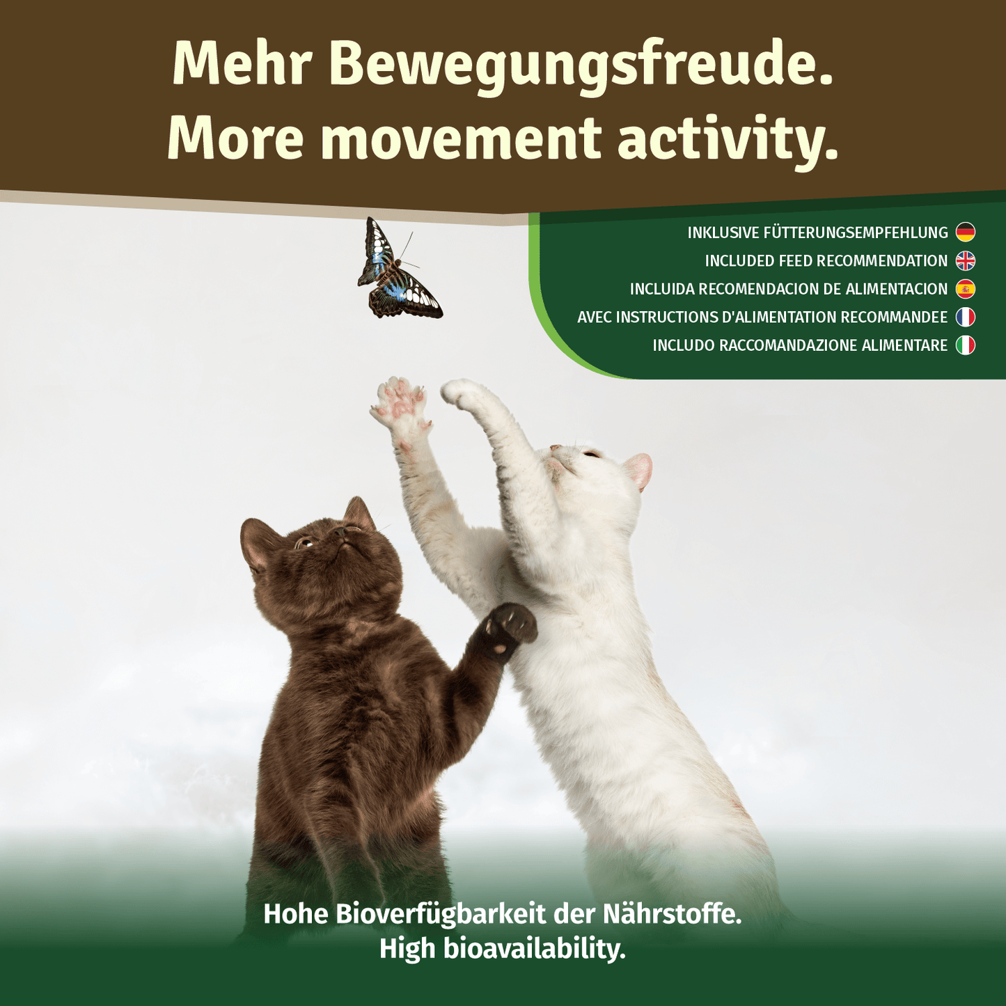 Grünlippmuschelpulver für Hunde, Katzen & Pferde