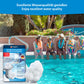 Veddelholzer Ersatzfilter Kartuschenfilter – 2er Set für Poolfilteranlagen