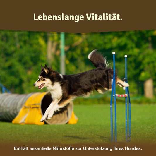 Veddelholzer Hunde Gelenktabletten Ergänzungsfuttermittel für Hunde