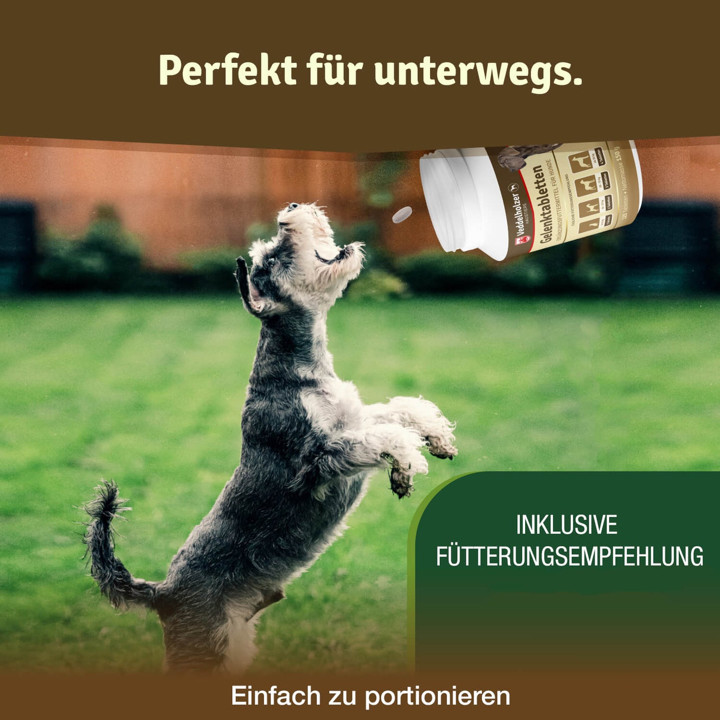 Veddelholzer Hunde Gelenktabletten Ergänzungsfuttermittel für Hunde