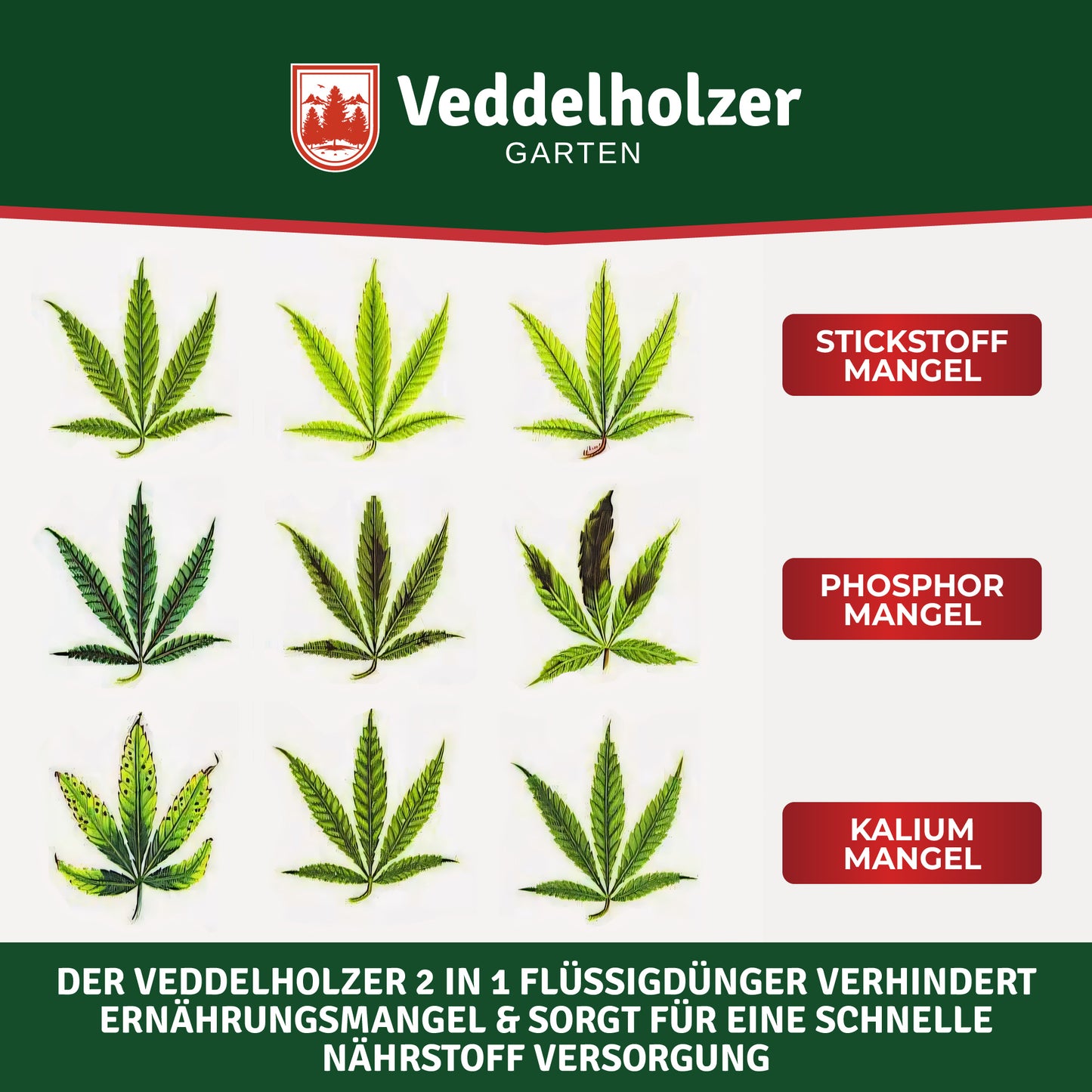 Veddelholzer Premium 500 ml Engrais de cannabis bio All in One