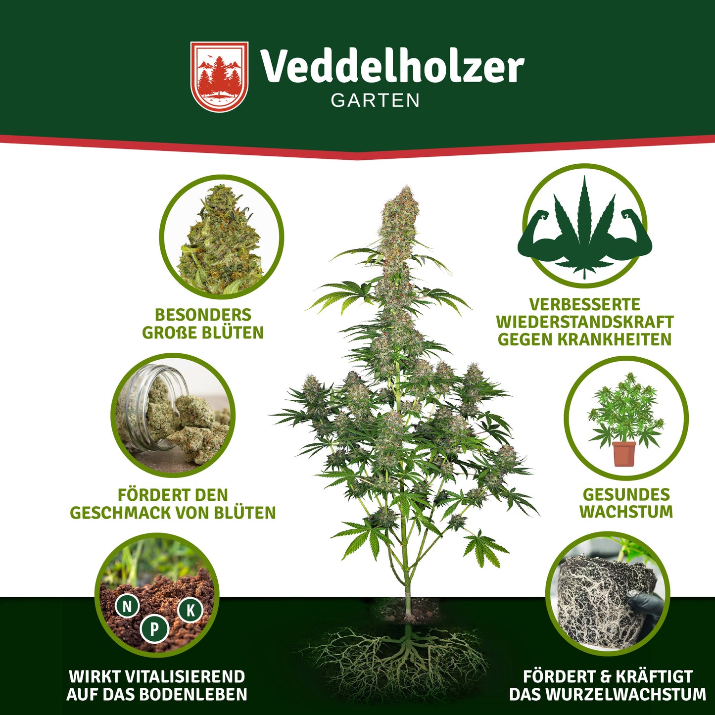 Veddelholzer Premium 500 ml Engrais de cannabis bio All in One