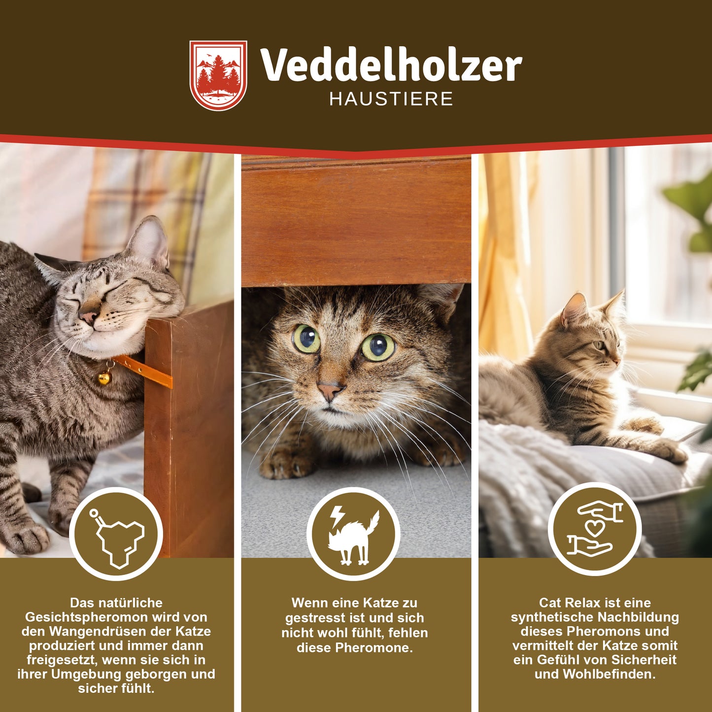 Veddelholzer Katzen Pheromon Nachfüllset – 3 x 48ml Flakon