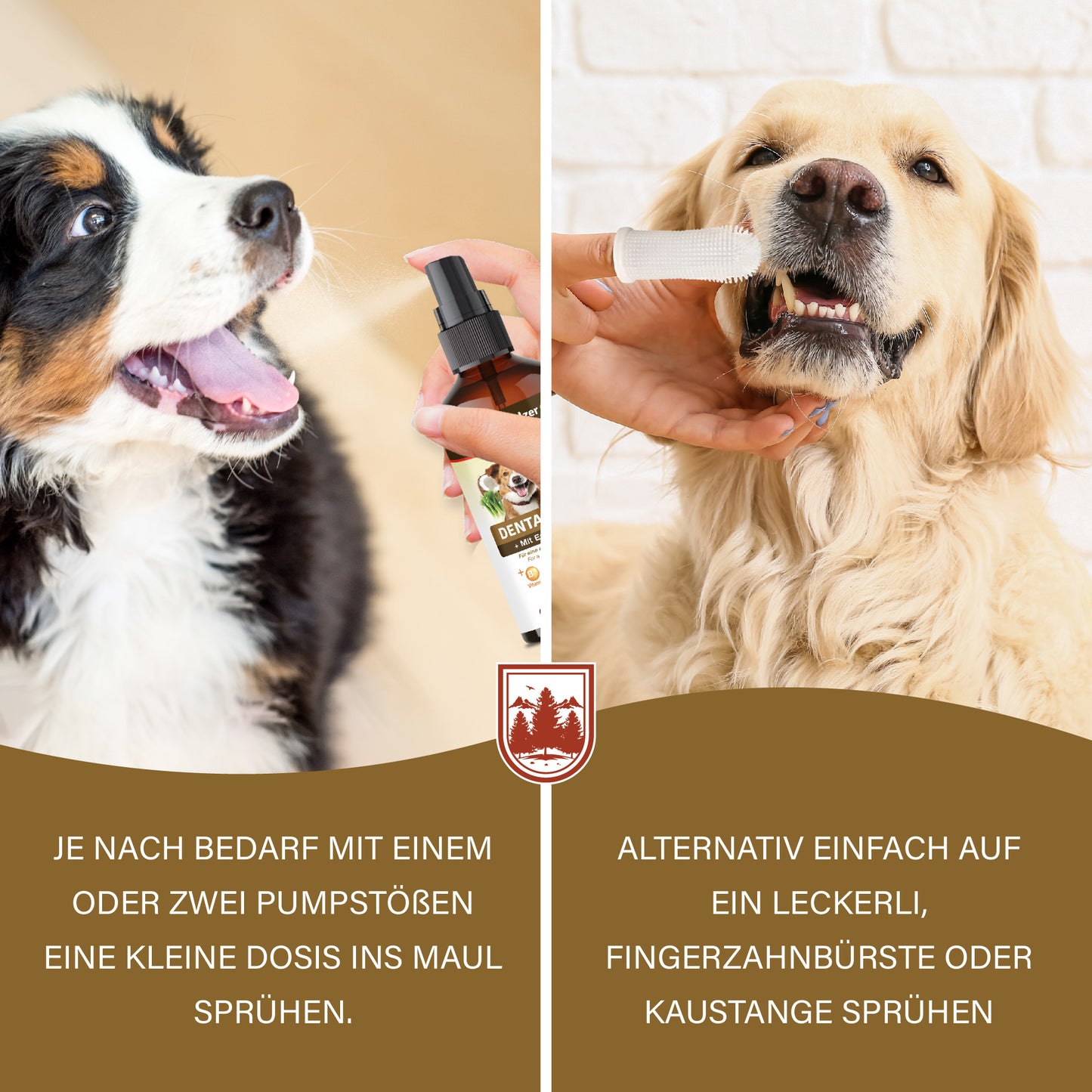 Veddelholzer Probiotisches Dentalspray 150ml Set – für Hunde & Katzen + Fingerzahnbürste