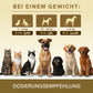 Veddelholzer Diarrhoe Kautabletten 50 Stück – für Hunde & Katzen
