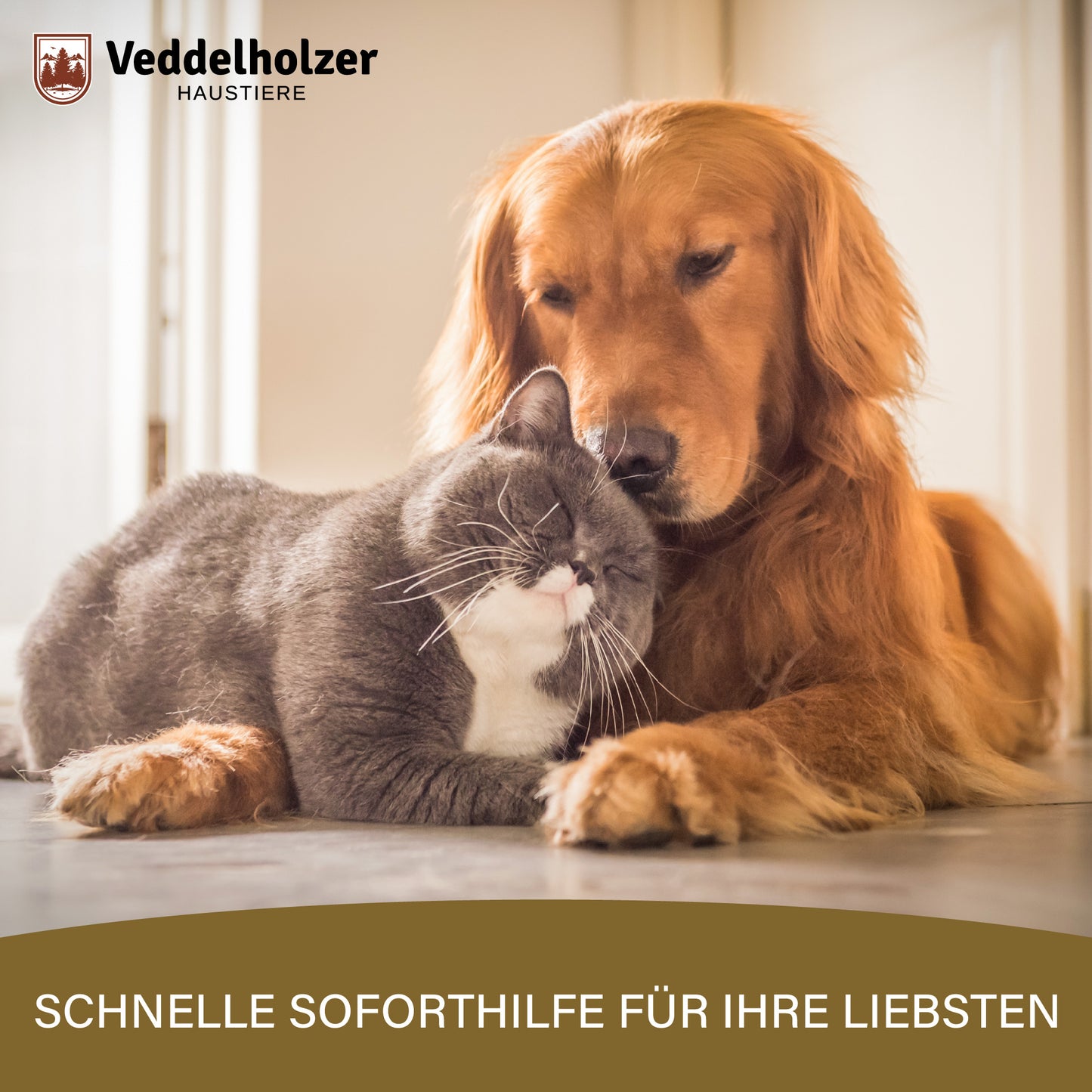 Veddelholzer Diarrhoe Kautabletten 50 Stück – für Hunde & Katzen