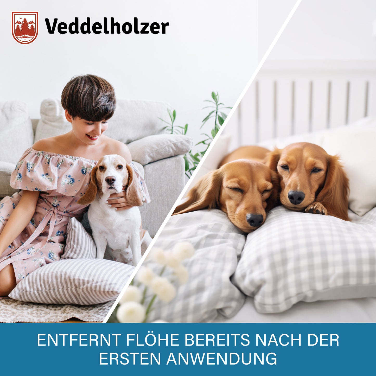 Veddelholzer Floh Abwehrspray 500ml – für Wohnung, Teppiche & Möbel