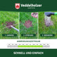 Veddelholzer 3in1 Rasensamen + Dünger Streumix 500g – NPK Startermix