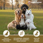 Veddelholzer Juckreizspray Hund 500ml – beruhigendes Pflegespray