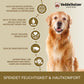 Veddelholzer Juckreizspray Hund 500ml – beruhigendes Pflegespray