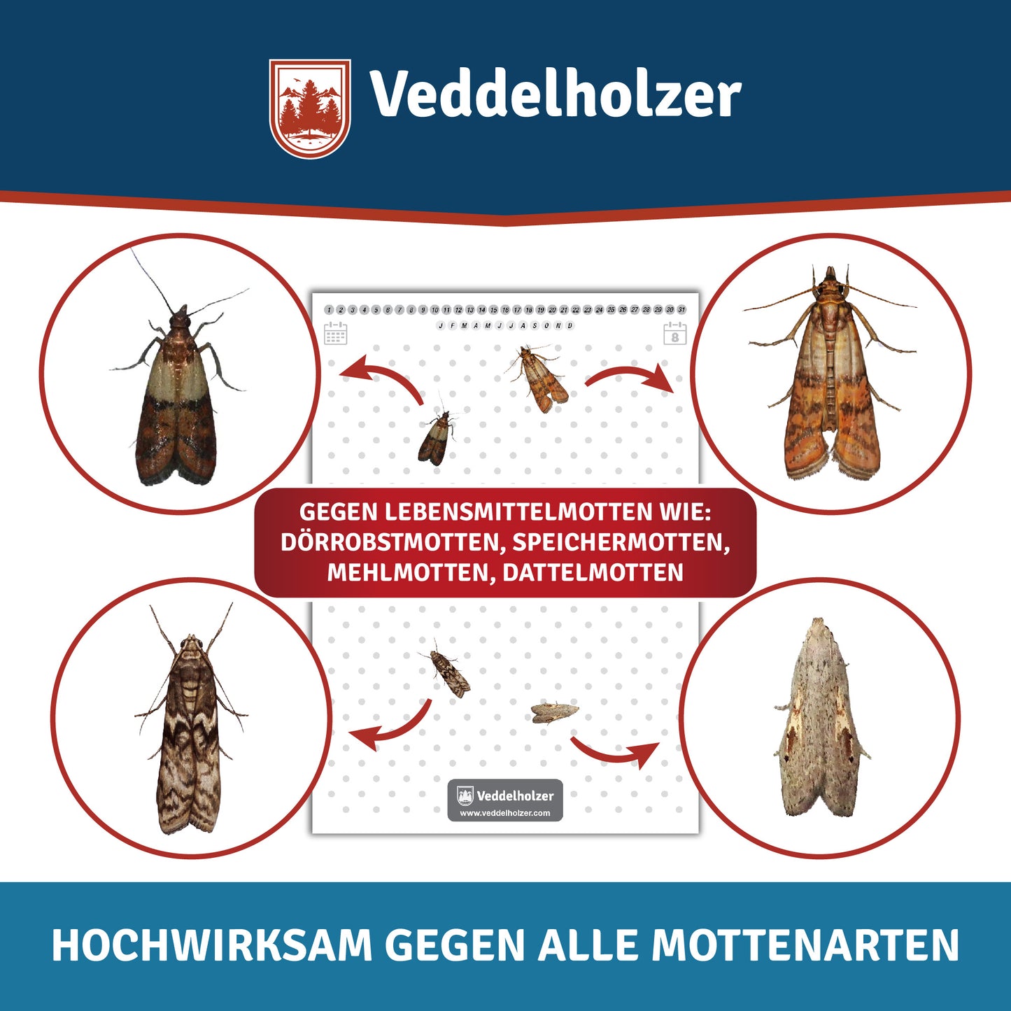 Veddelholzer Lebensmittelmotten Falle 10 Stück – Pheromon Lockstoff