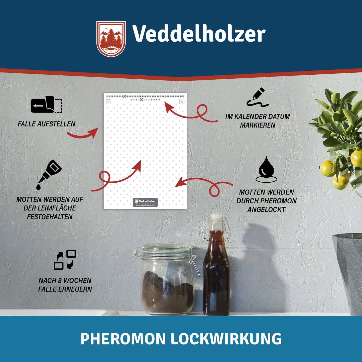 Veddelholzer Lebensmittelmotten Falle 10 Stück – Pheromon Lockstoff