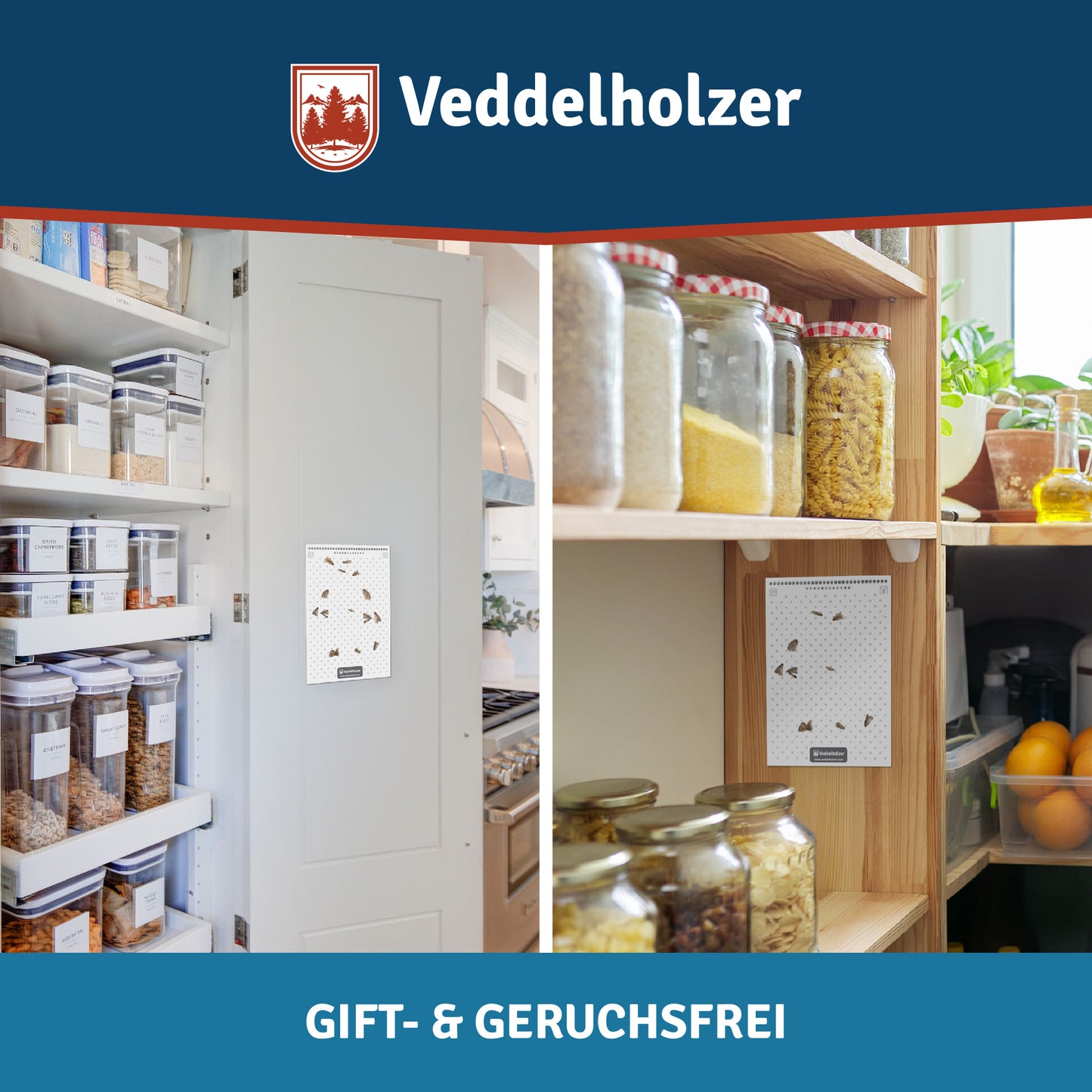 Veddelholzer Lebensmittelmotten Falle 10 Stück – Pheromon Lockstoff