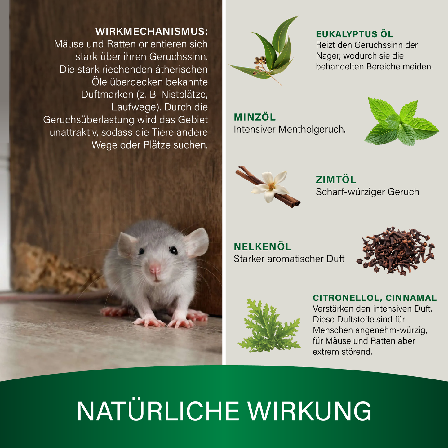 Veddelholzer Mäuseabwehr Set 250ml – natürliches Mittel gegen Mäuse & Ratten