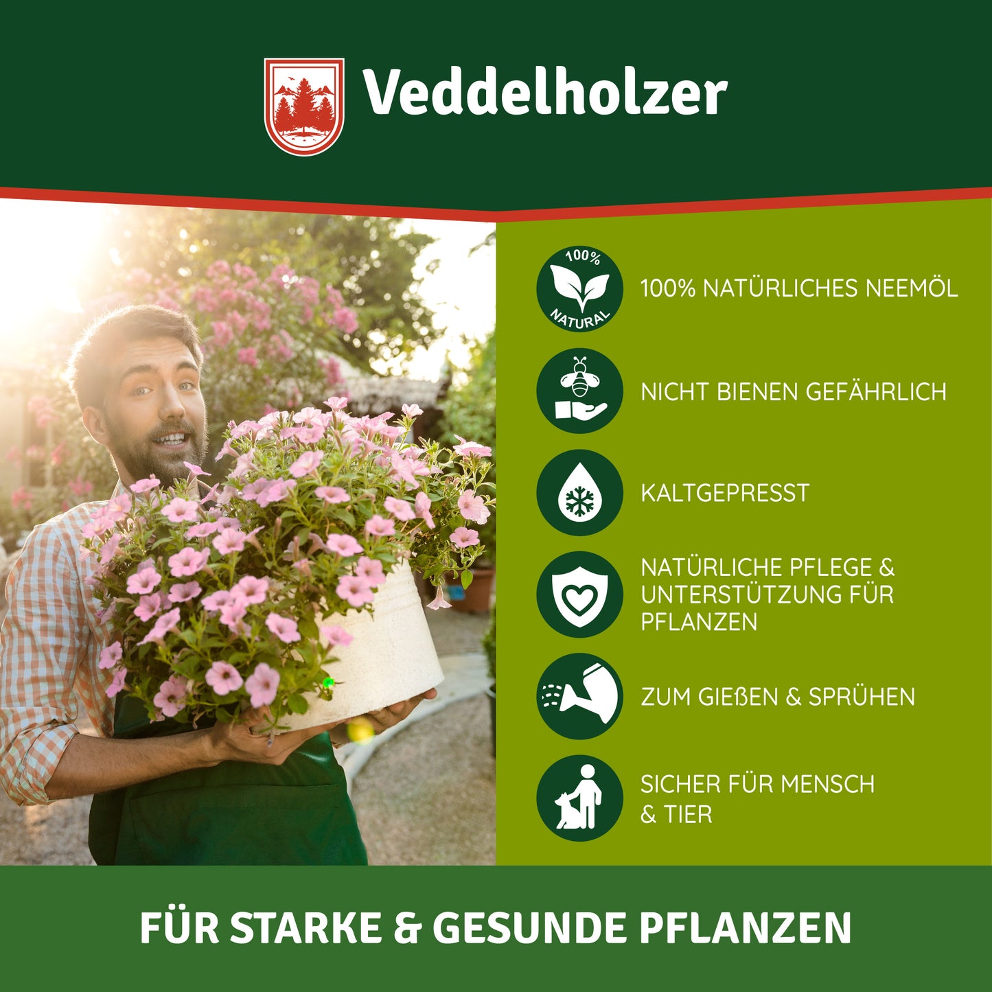Veddelholzer Neemöl 750ml kaltgepresst – 100% natürlich