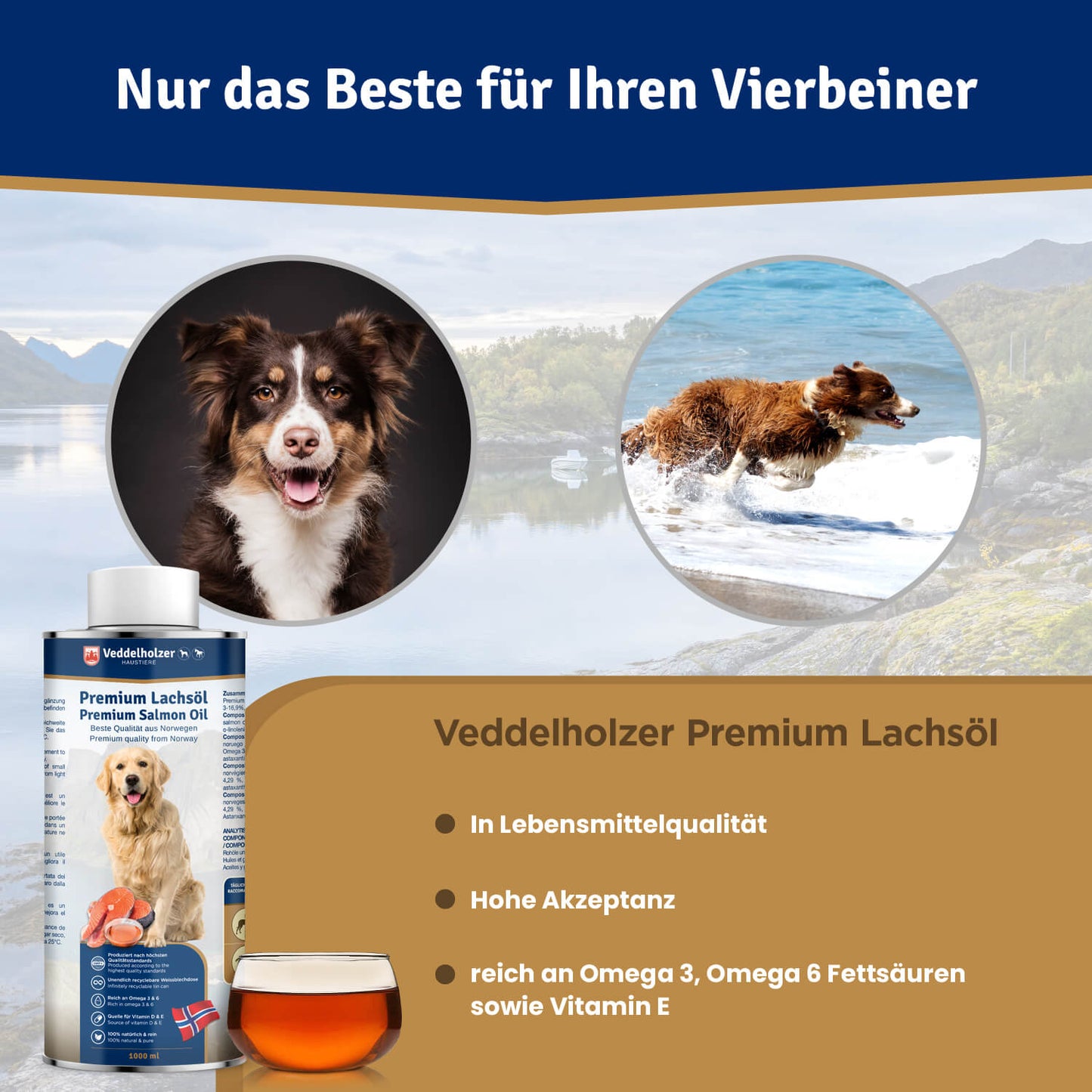 Lachsöl für Hunde
