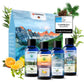 Veddelholzer Saunaaufguss Set – 4 x 100ml Duftkonzentrat