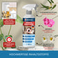 Veddelholzer Spinnen Abwehrspray 500ml – Geraniol Anti-Spinnenspray
