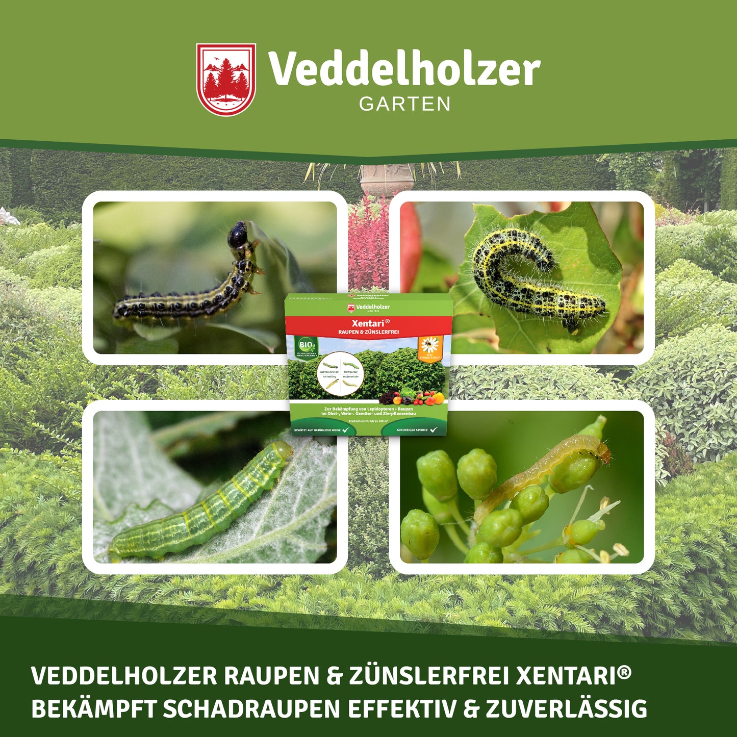 Veddelholzer Xentari Raupenfrei Bio Insektizid – 16 x 2g