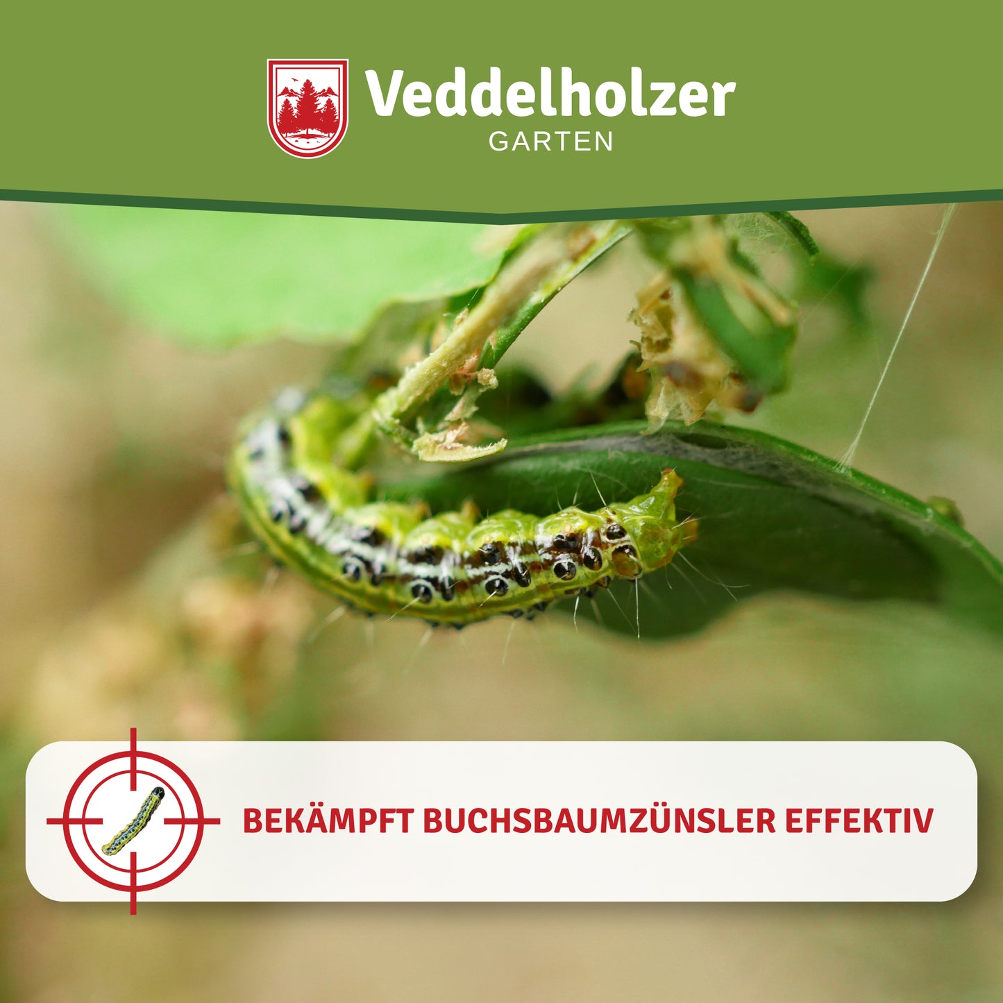 Veddelholzer Xentari Raupenfrei Bio Insektizid – 16 x 2g