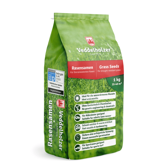 Rasensamen Dürreresistent