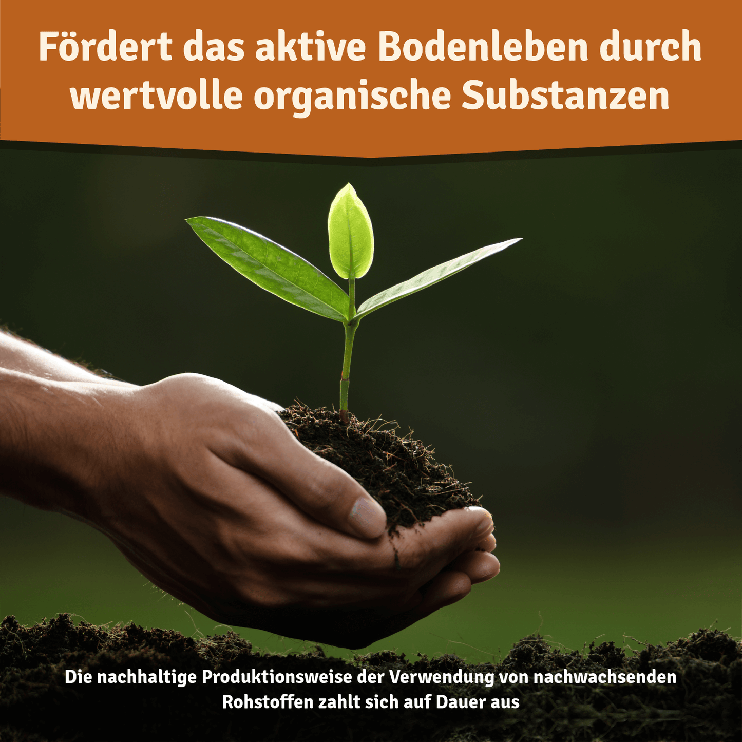 Veddelholzer Bio Herbstrasendünger – Langzeitdünger für Herbst & Winter