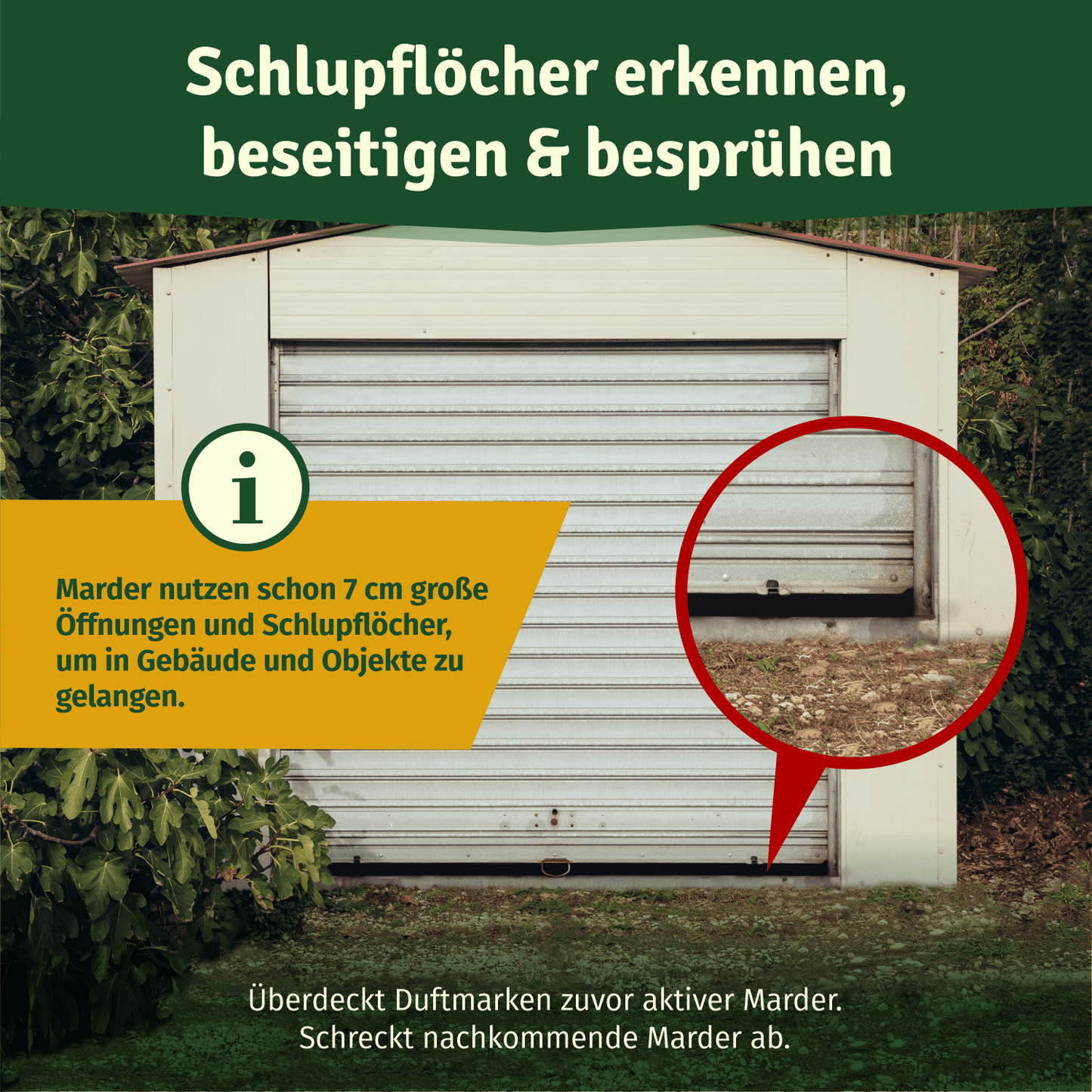 Veddelholzer Marderspray 400ml – für Auto, Dachboden & Garage