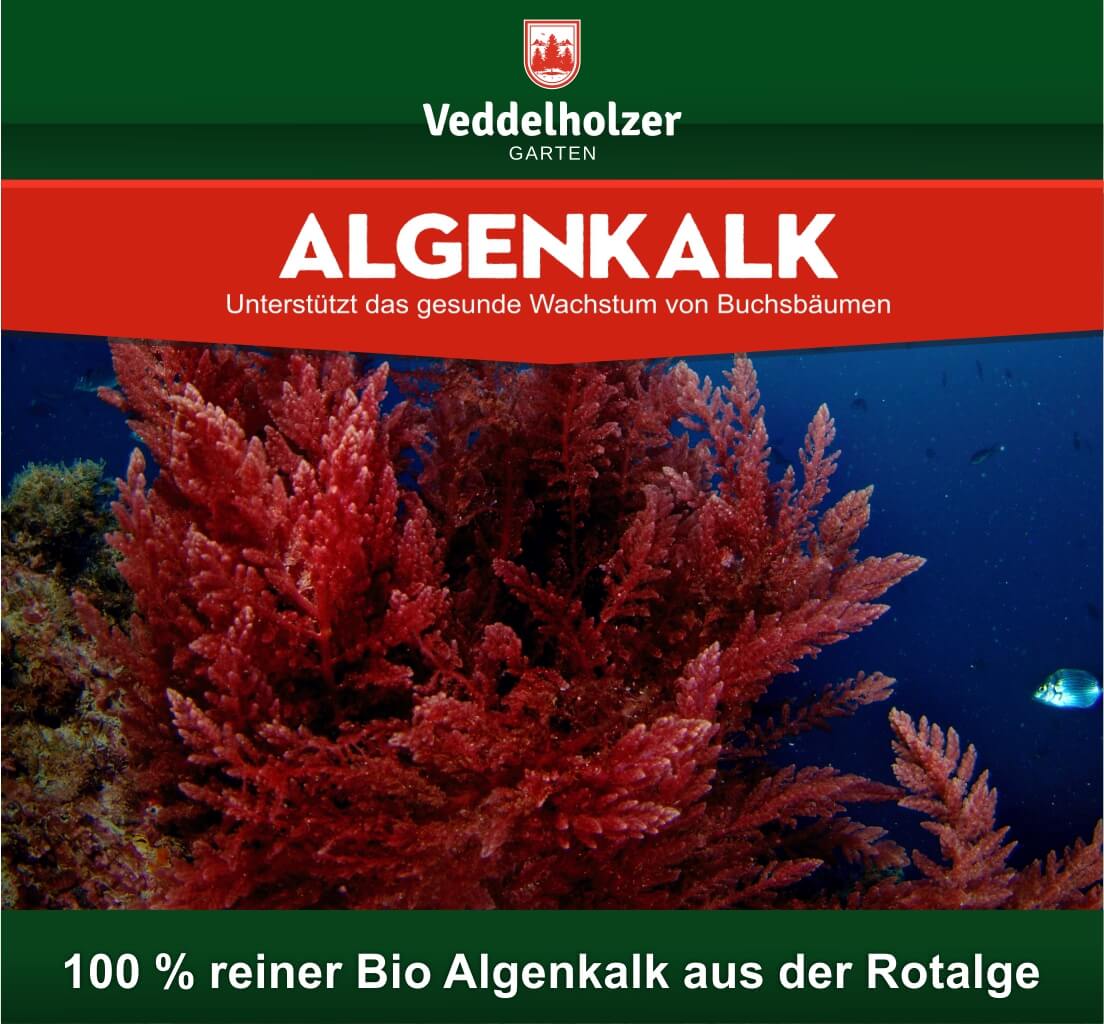 DER SIEGER 09/2020 Veddelholzer 6kg organic algae lime 100% pure powder from seaweed